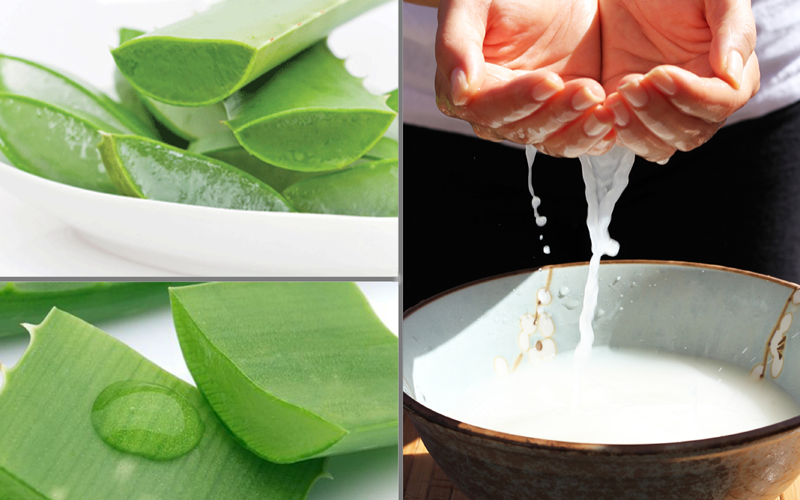 nha đam nước vo gạo